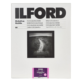 Ilford Multigrade V RC Deluxe Gloss 50.8 x 61cm 50 Sheets