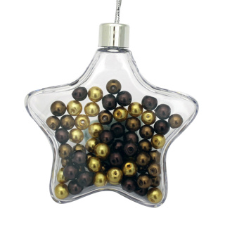Adventa Star Photo Ornament - Clear (1) Retail Pack