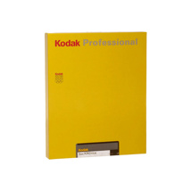 Kodak T-Max B&W 100 8x10 (10 Sheets)