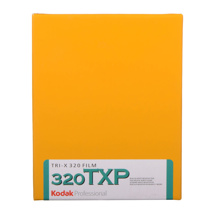 Kodak Tri-X B&W 320 8x10 (10 Sheets)