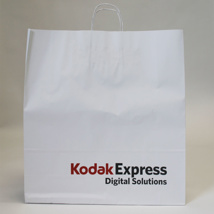 Kodak Express Paper Bags Small (100)