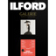 Ilford Galerie Gold Fibre Gloss 310gsm Sheet